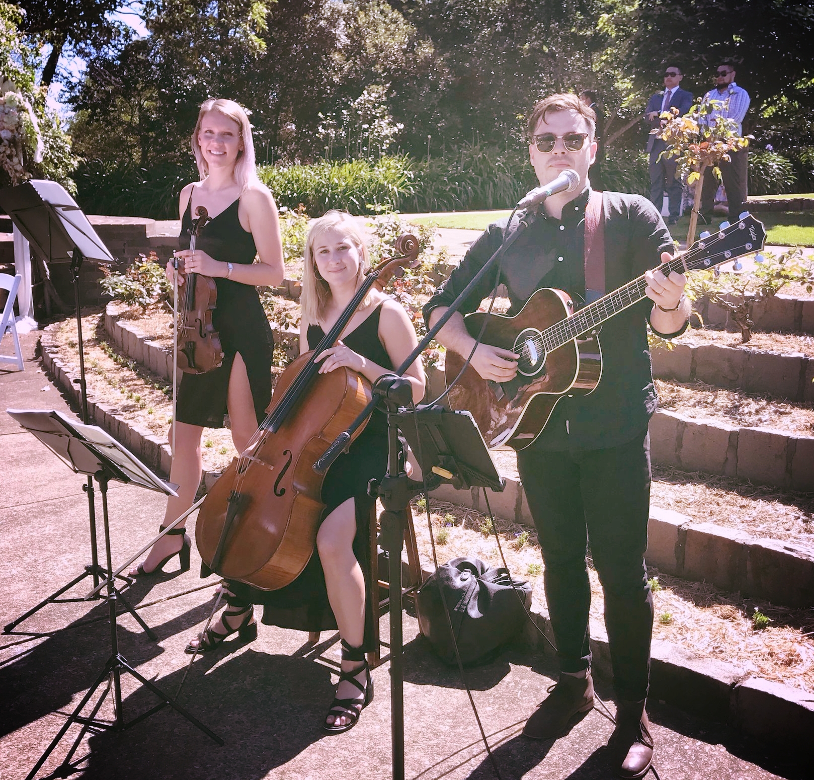 Oberon Lane Strings