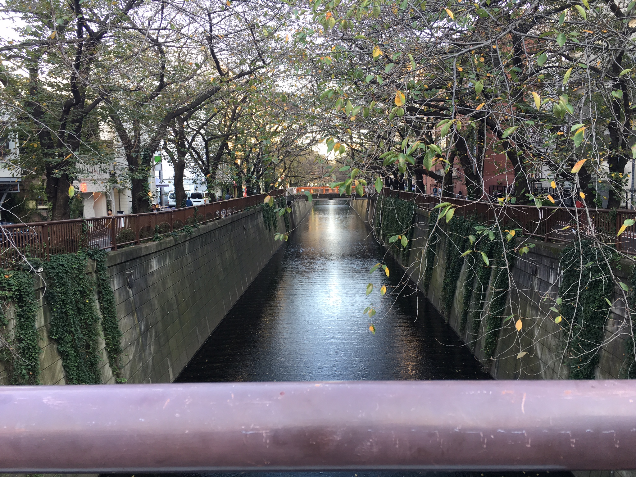 Canals of Naka-meguro