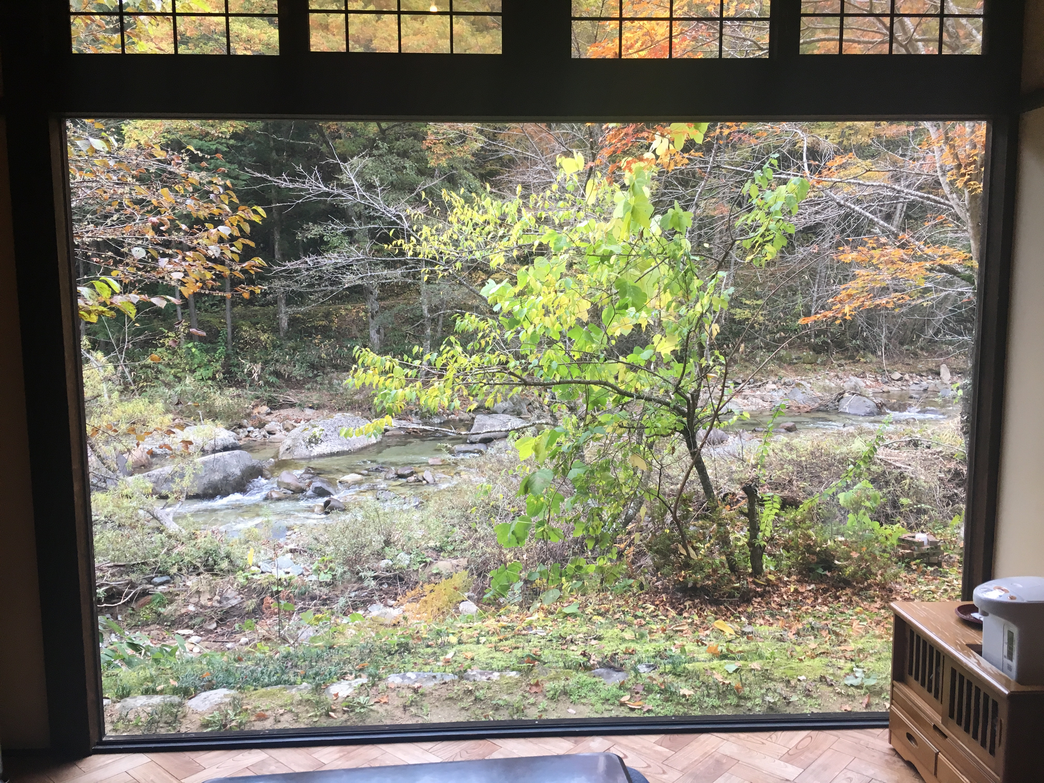 View from our cottage at Wanosato