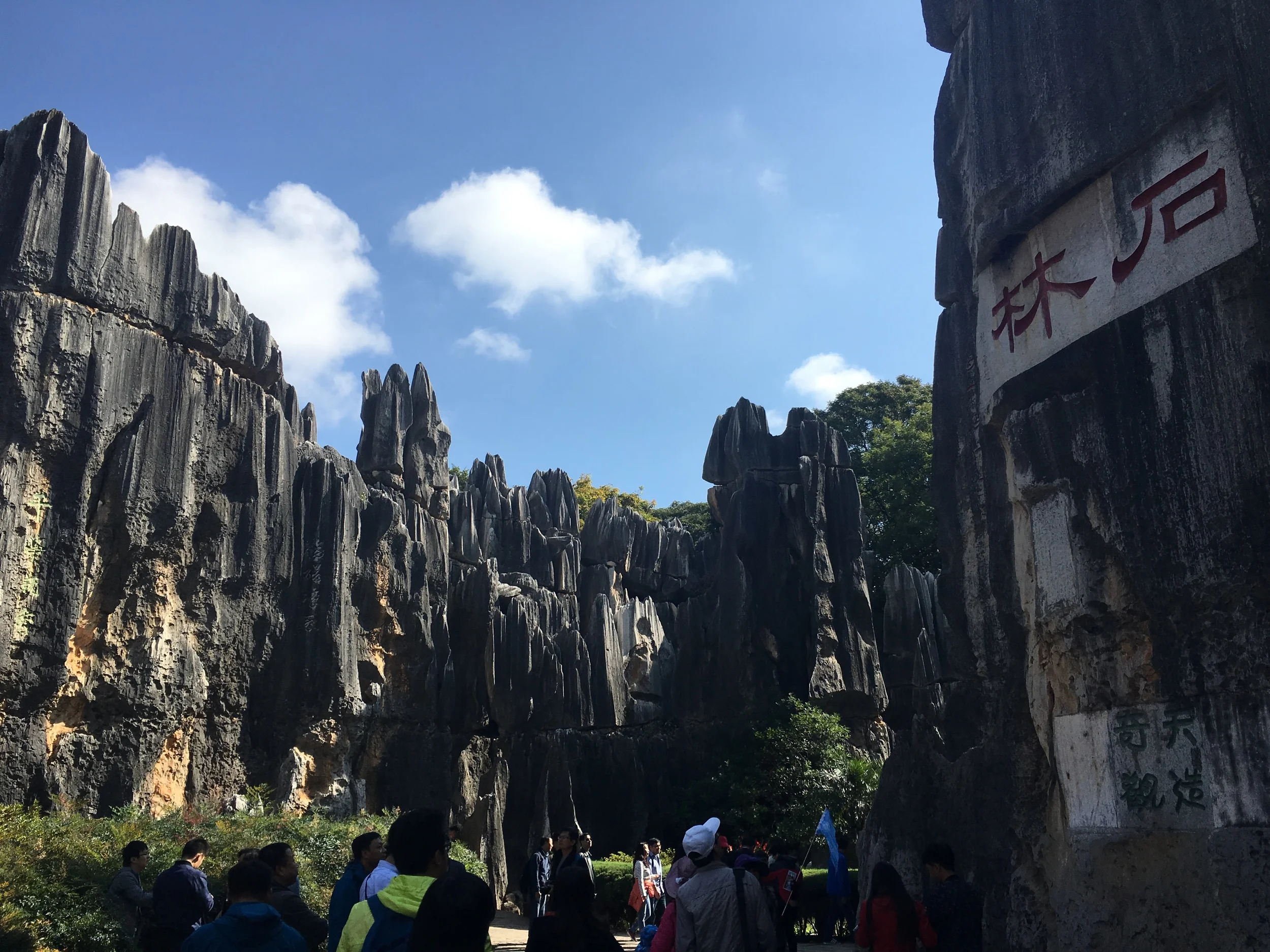 Stone Forest