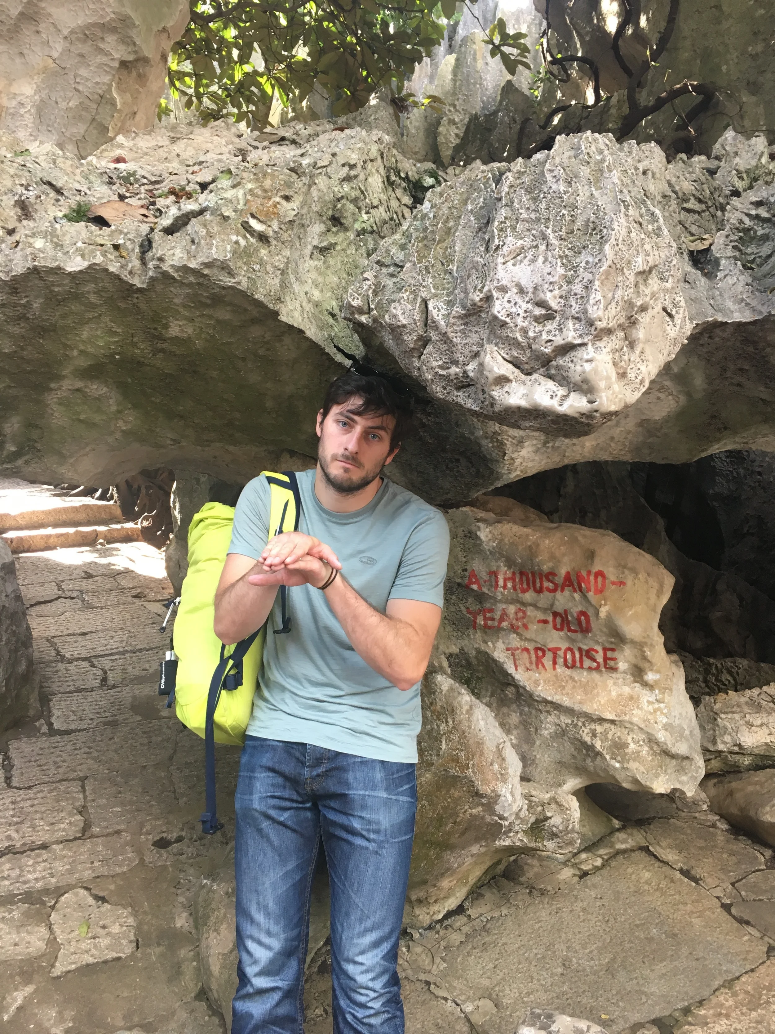 awkward turtle for the thousand year old tortoise