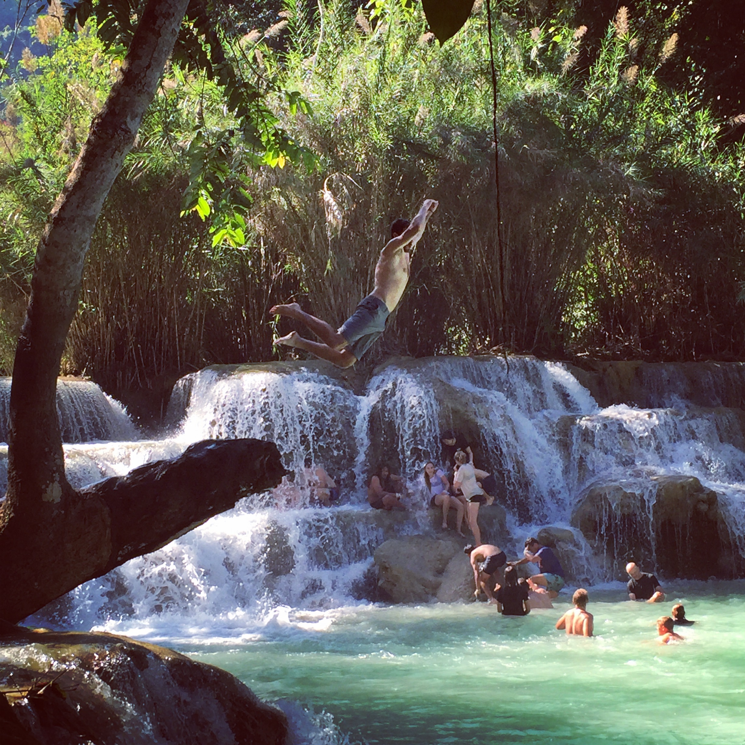 Jungle Jump at Tat Kuang Si waterfall
