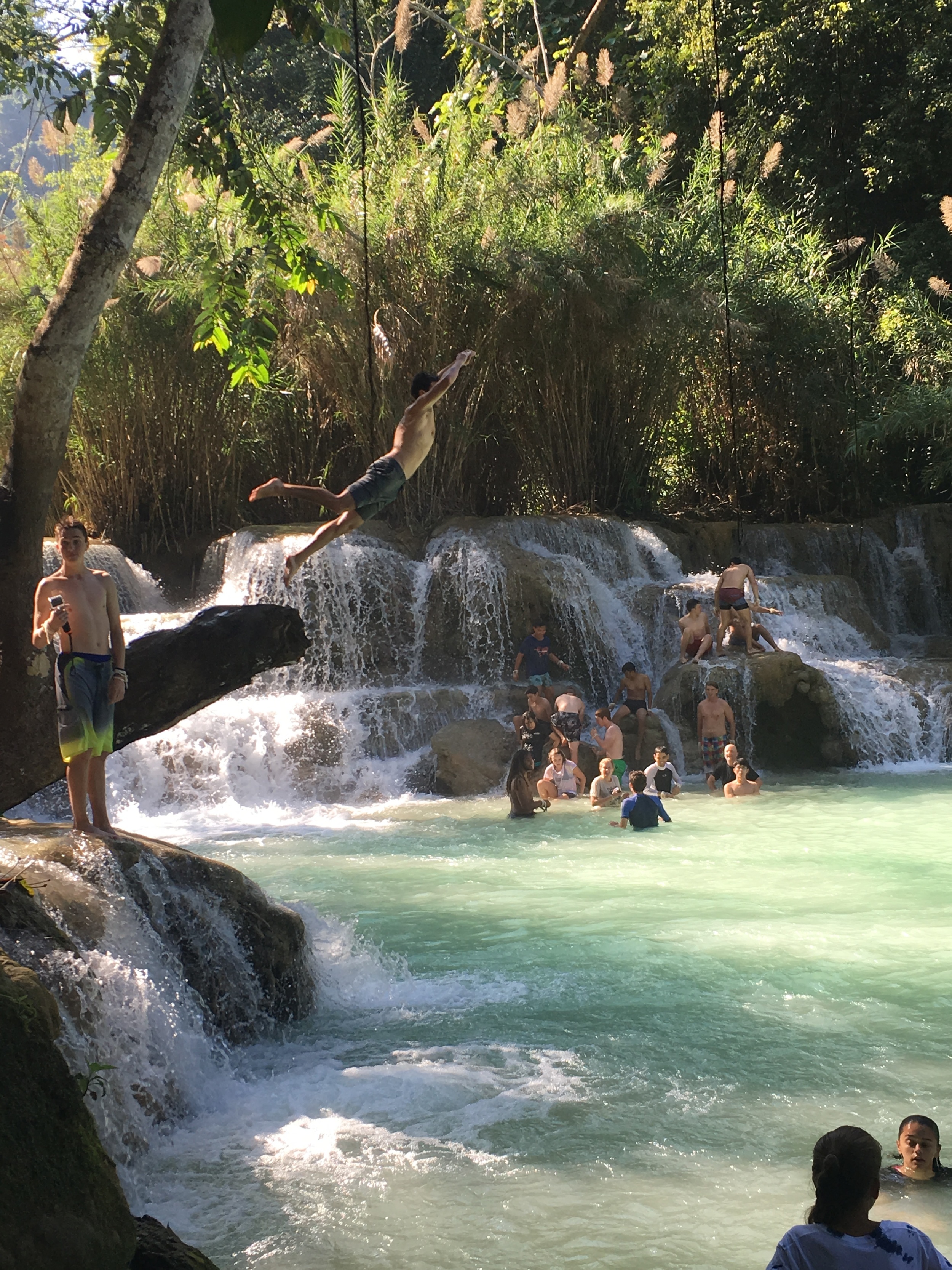 Jungle Jump at Tat Kuang Si waterfall