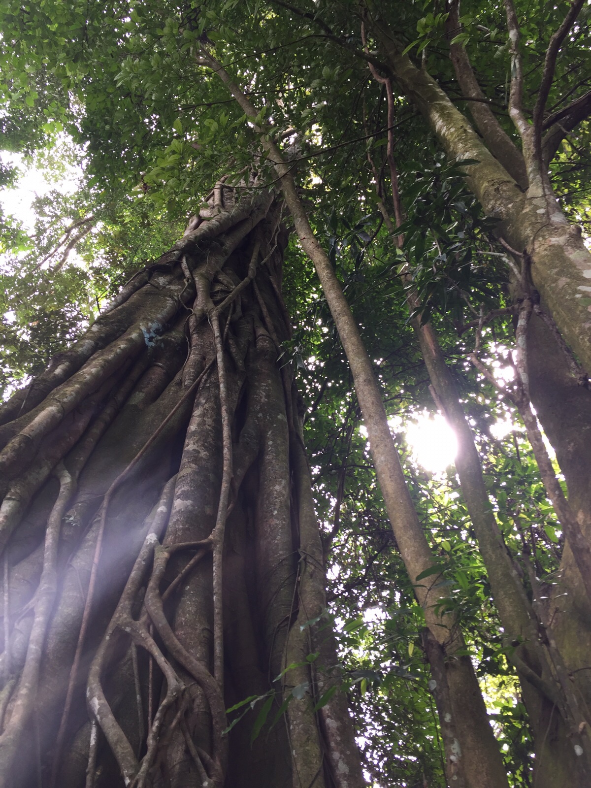 Luang Prabang