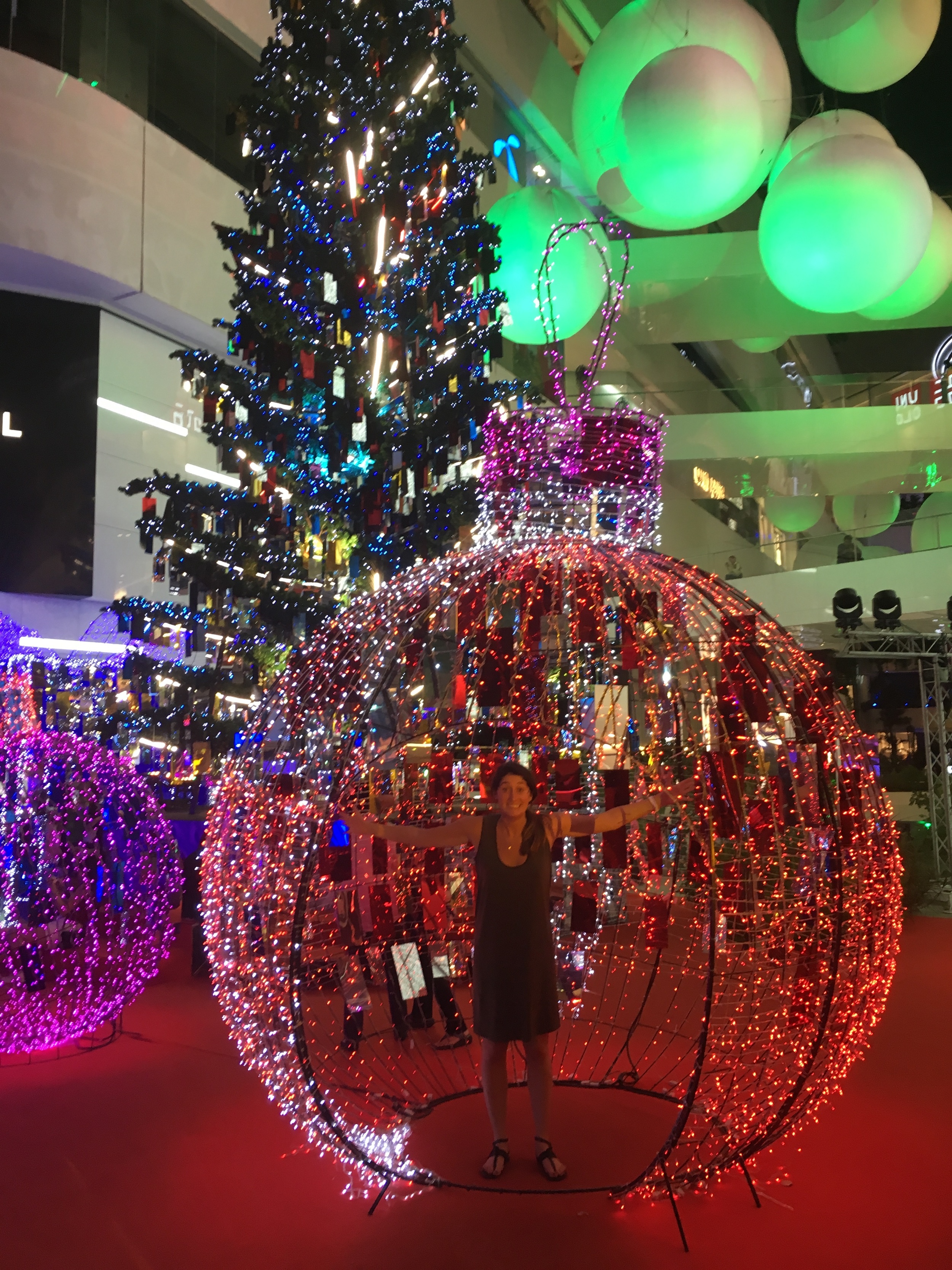 Inside the christmas light ball