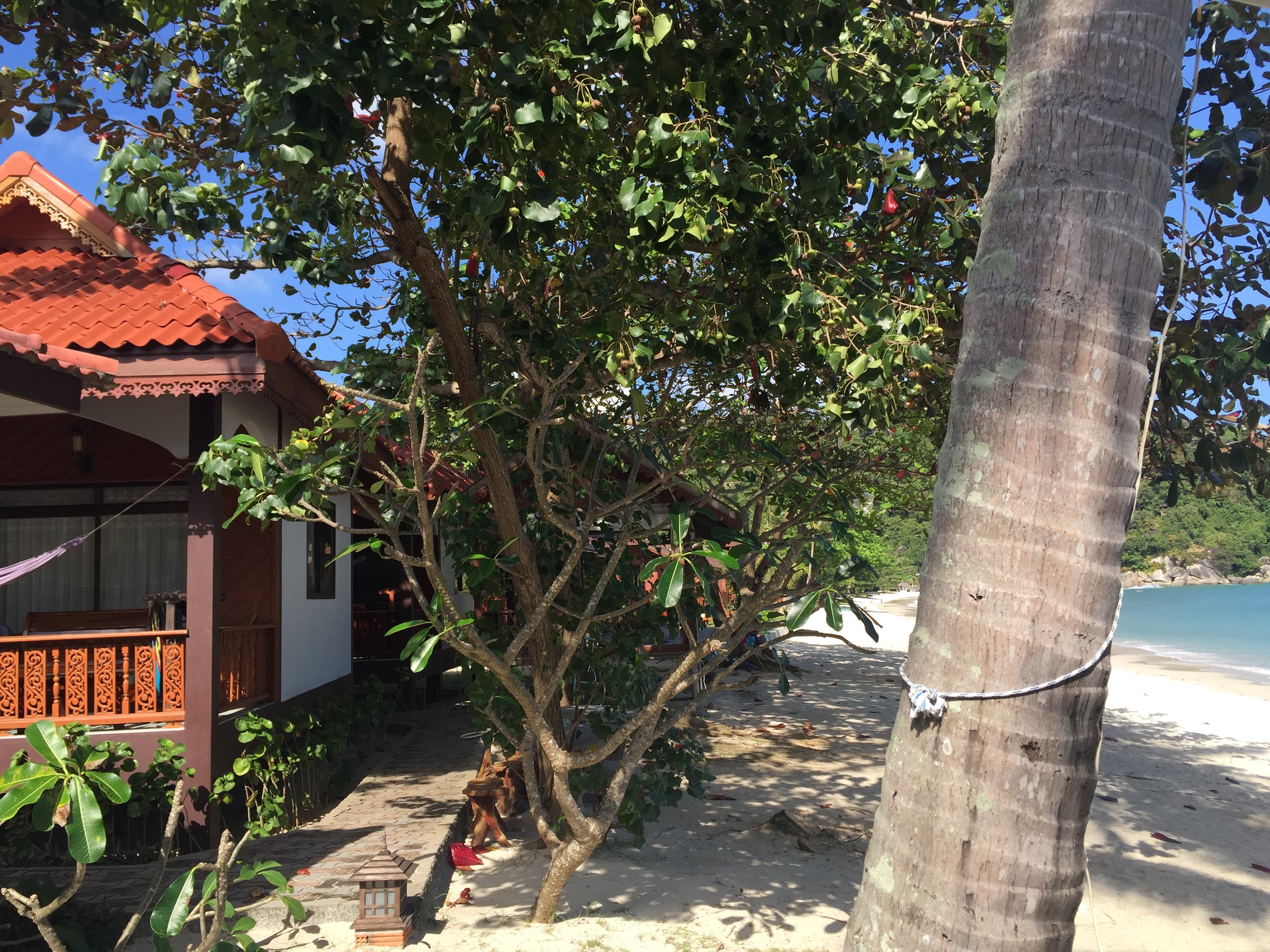 Our beach bungalow