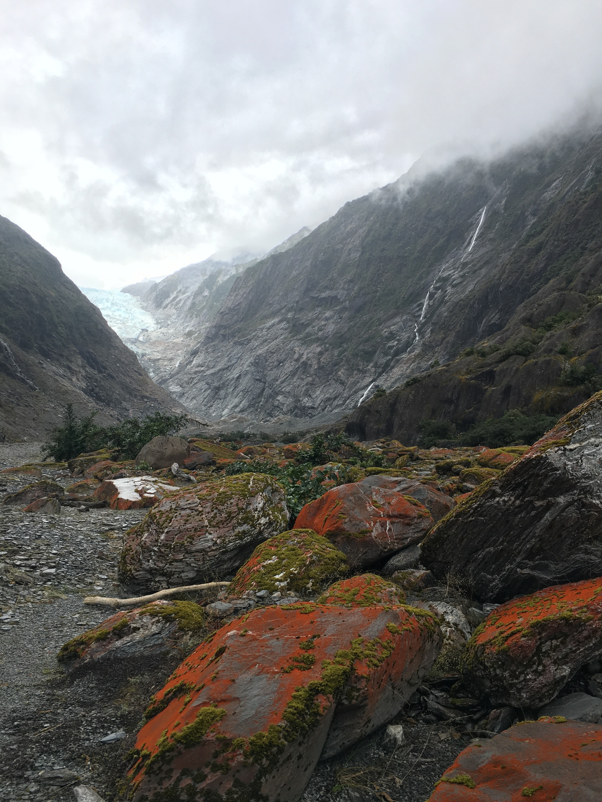 Franz Josef Glacier