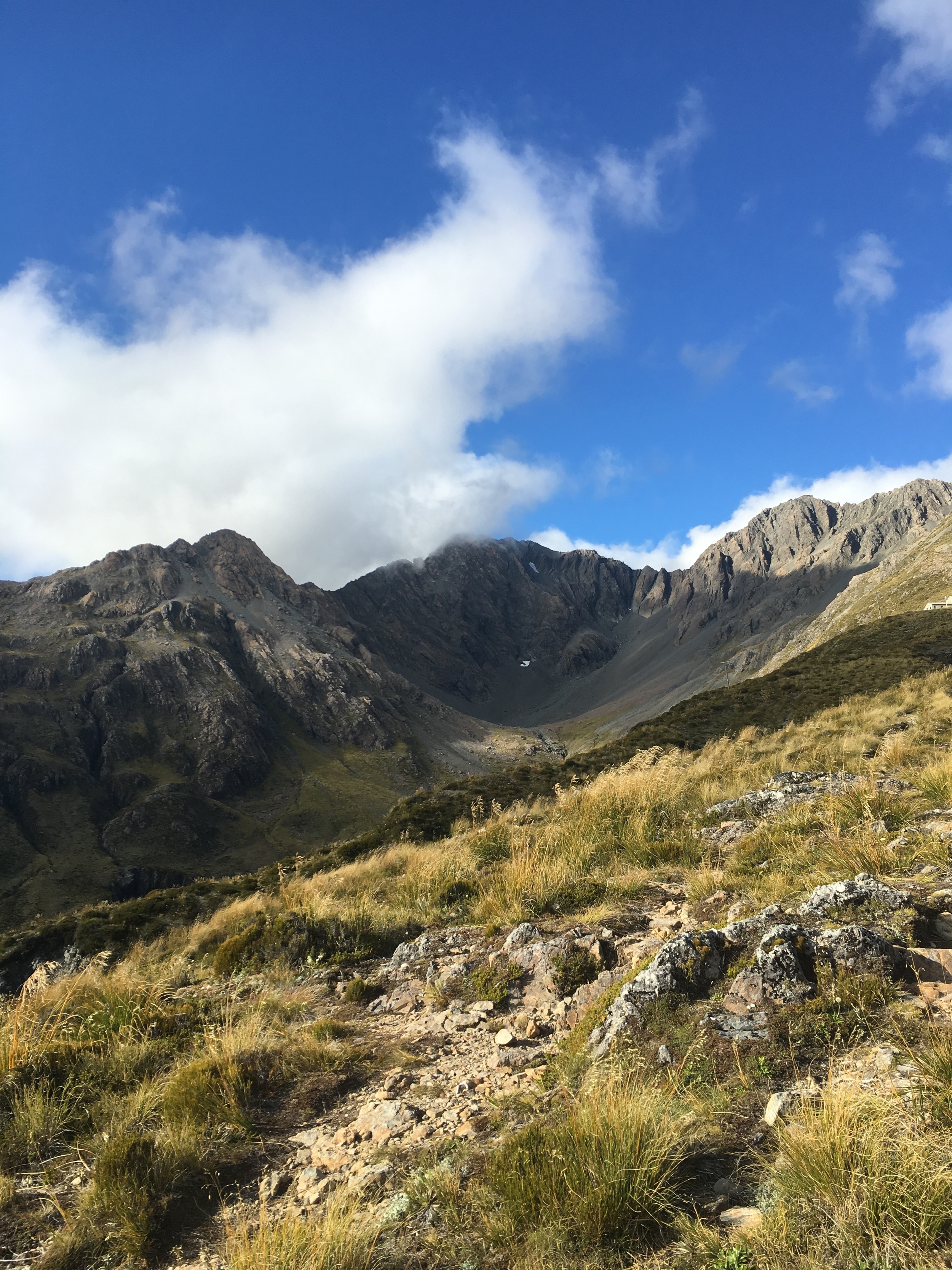 Temple Basin Hike in Arthur's Pass