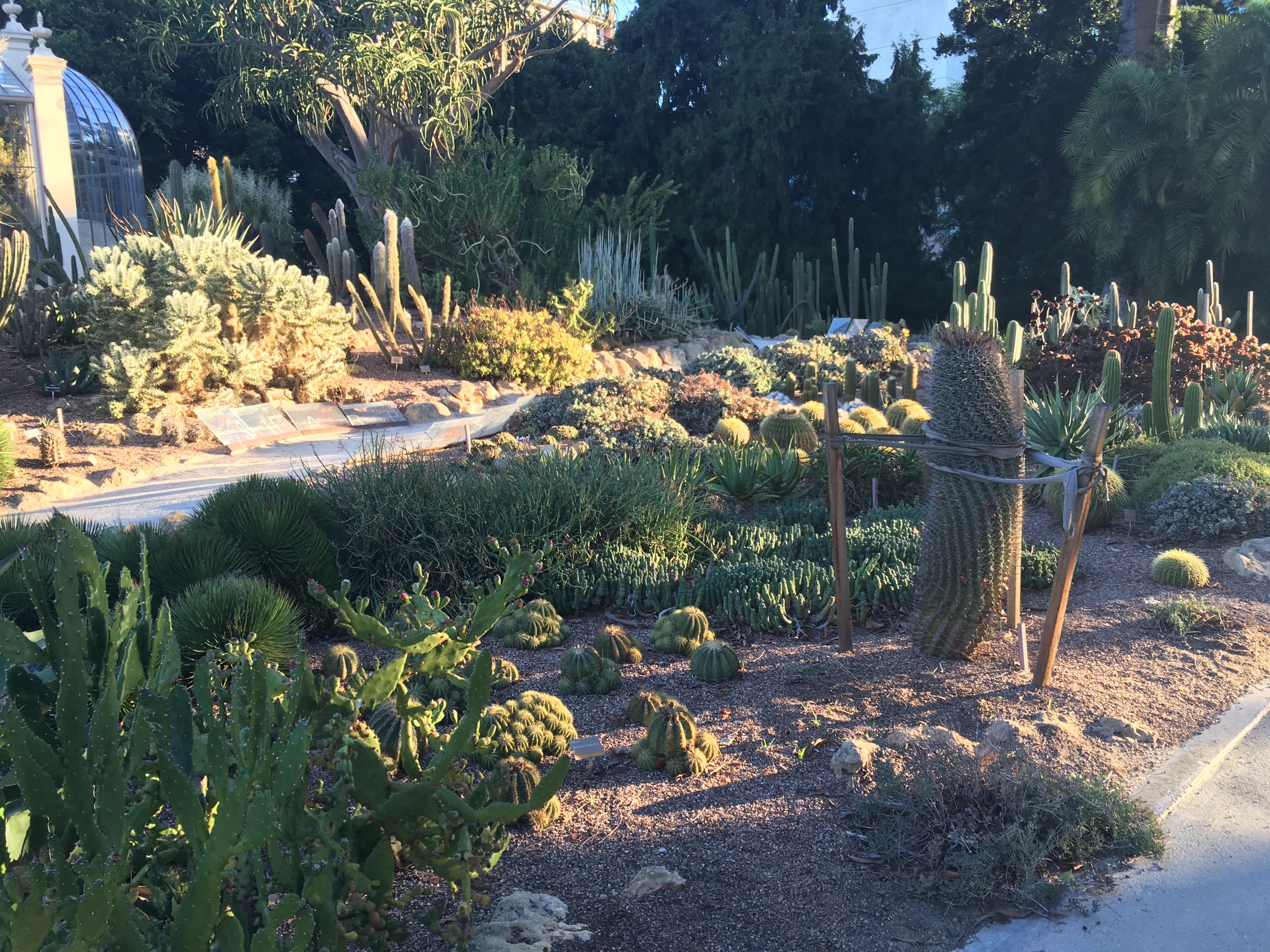 Adelaide Botanical Gardens