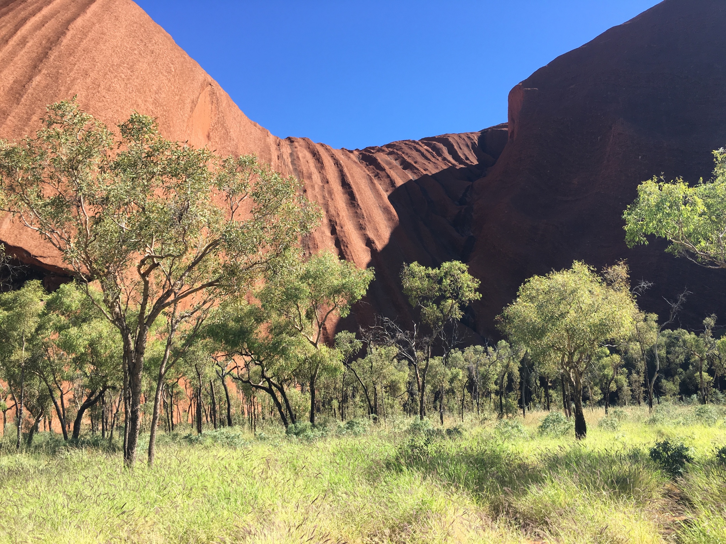 Uluru