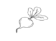 landing--cleansing__radish_200x.png