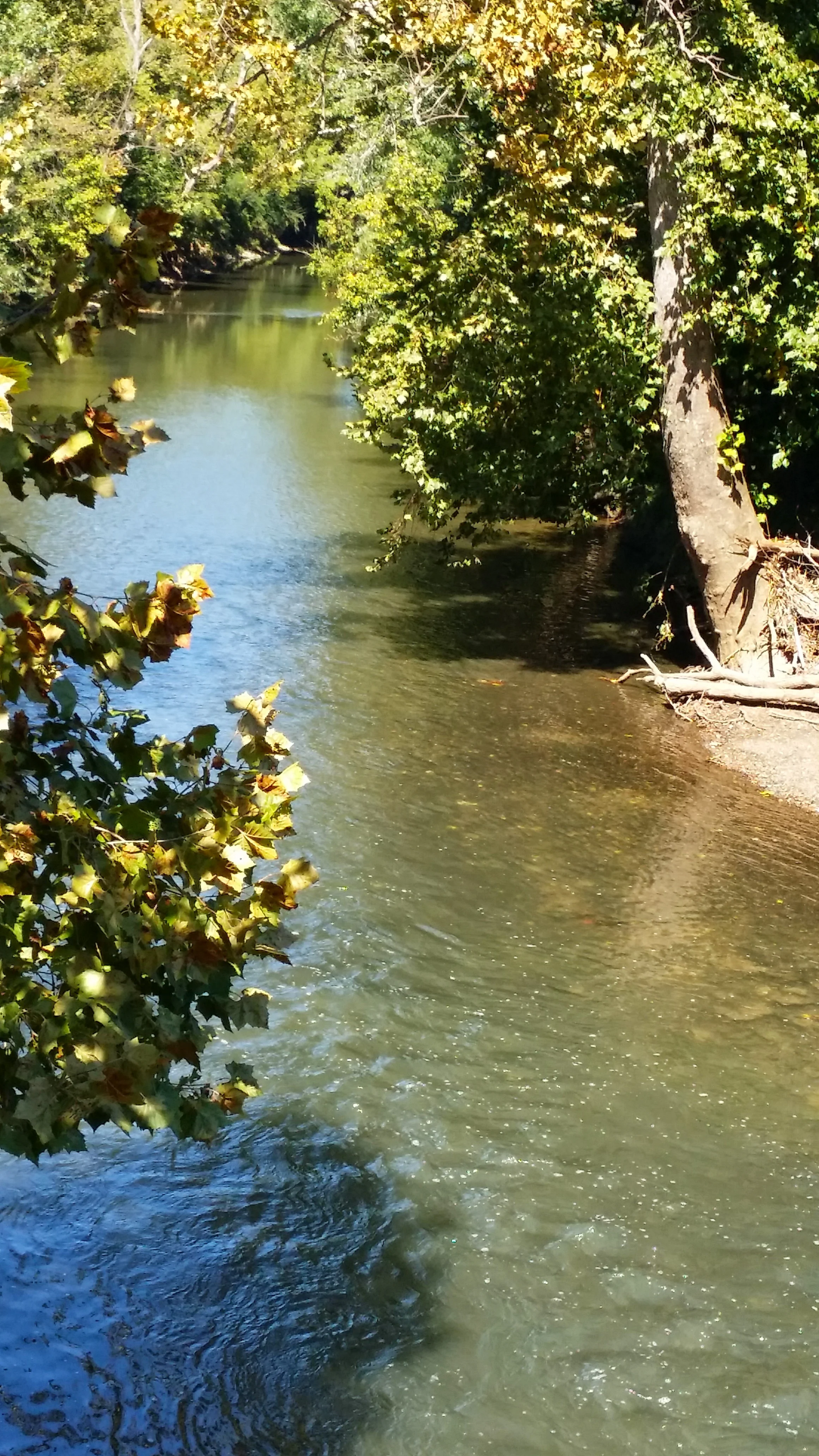 20140922_125705.jpg