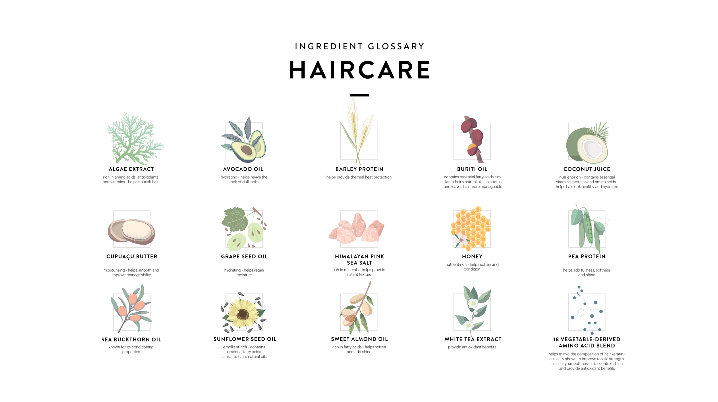 Ingredients Glossary Slide2.png