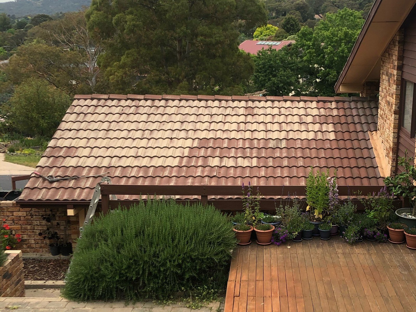 grid-roof-lower-before.jpg