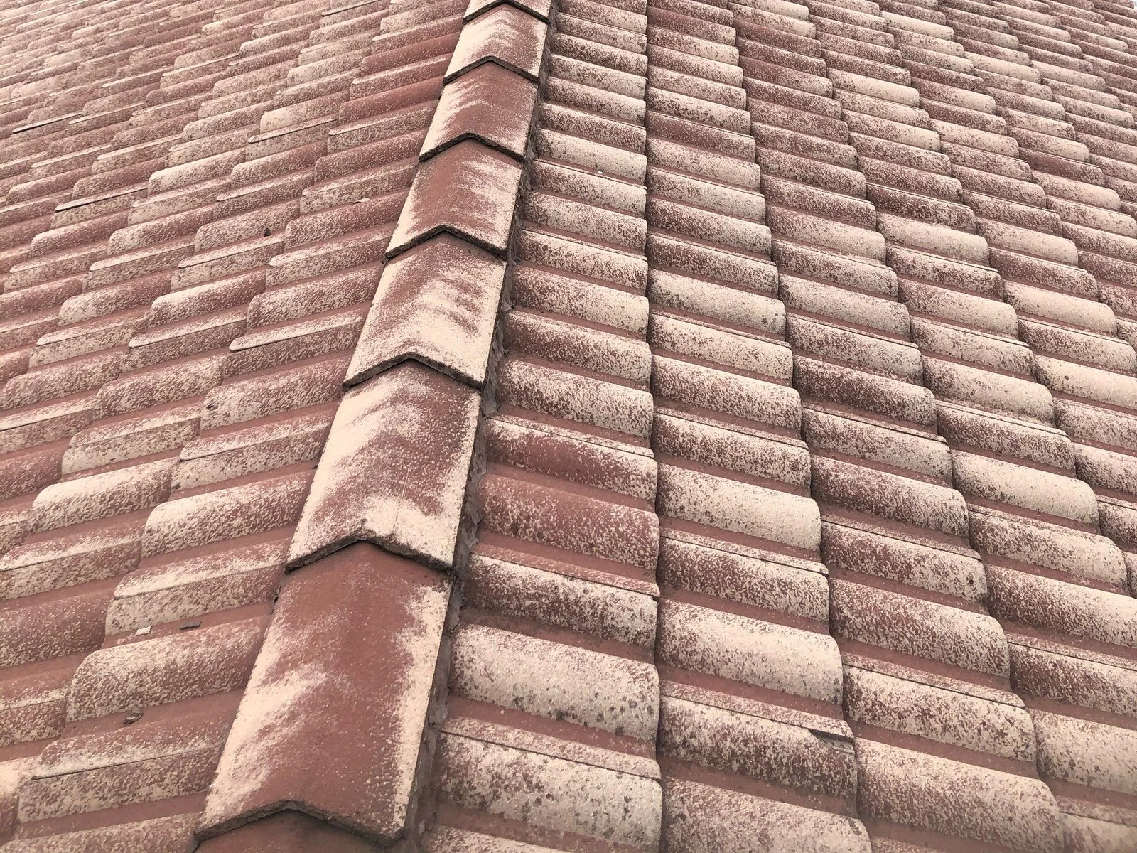 grid-roof-lichen-ridge-before.jpg