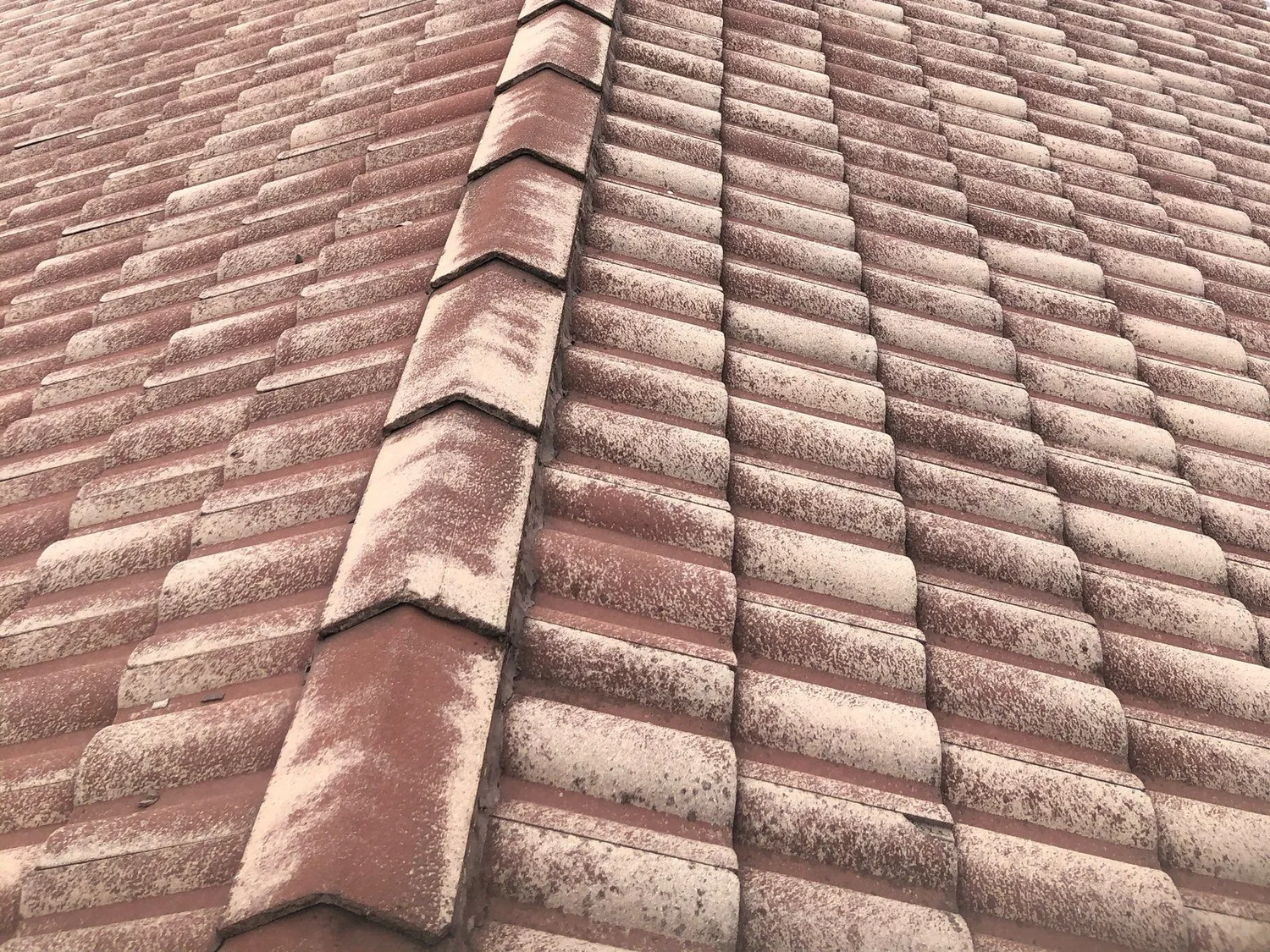 Lichen build-up on the ridge and tiles of a Canberra roof before treatment