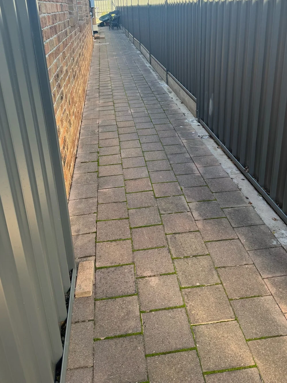 Paver side path with moss growing in the joints, before cleaning (Canberra)