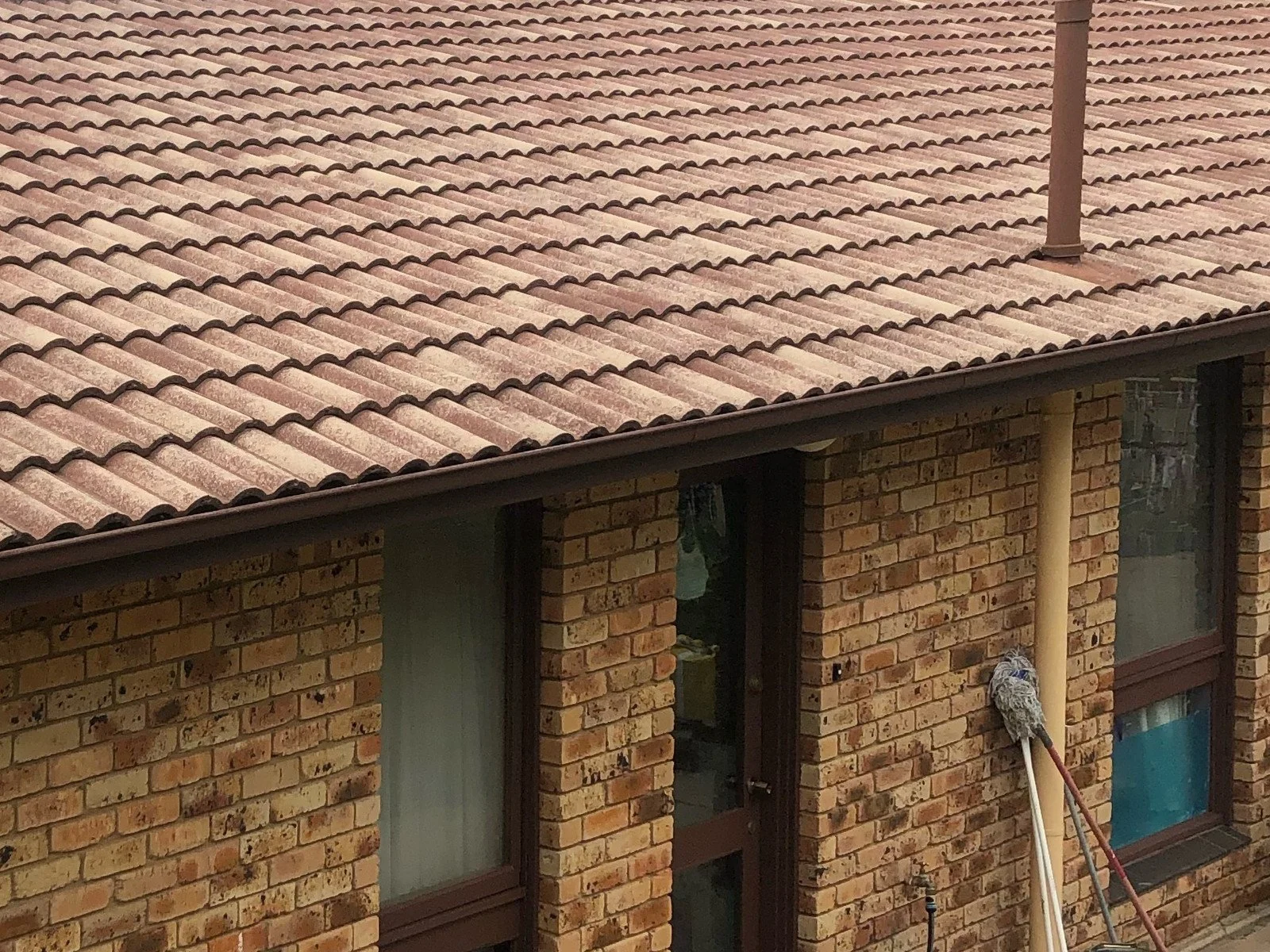 roof-before-lichen-canberra.jpg