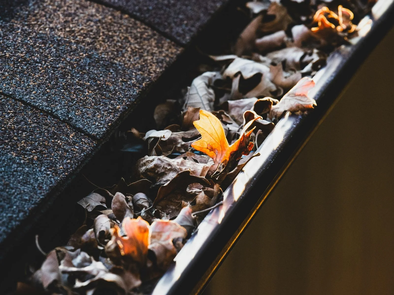 gutter-leaves-roof-edge-stock.jpg