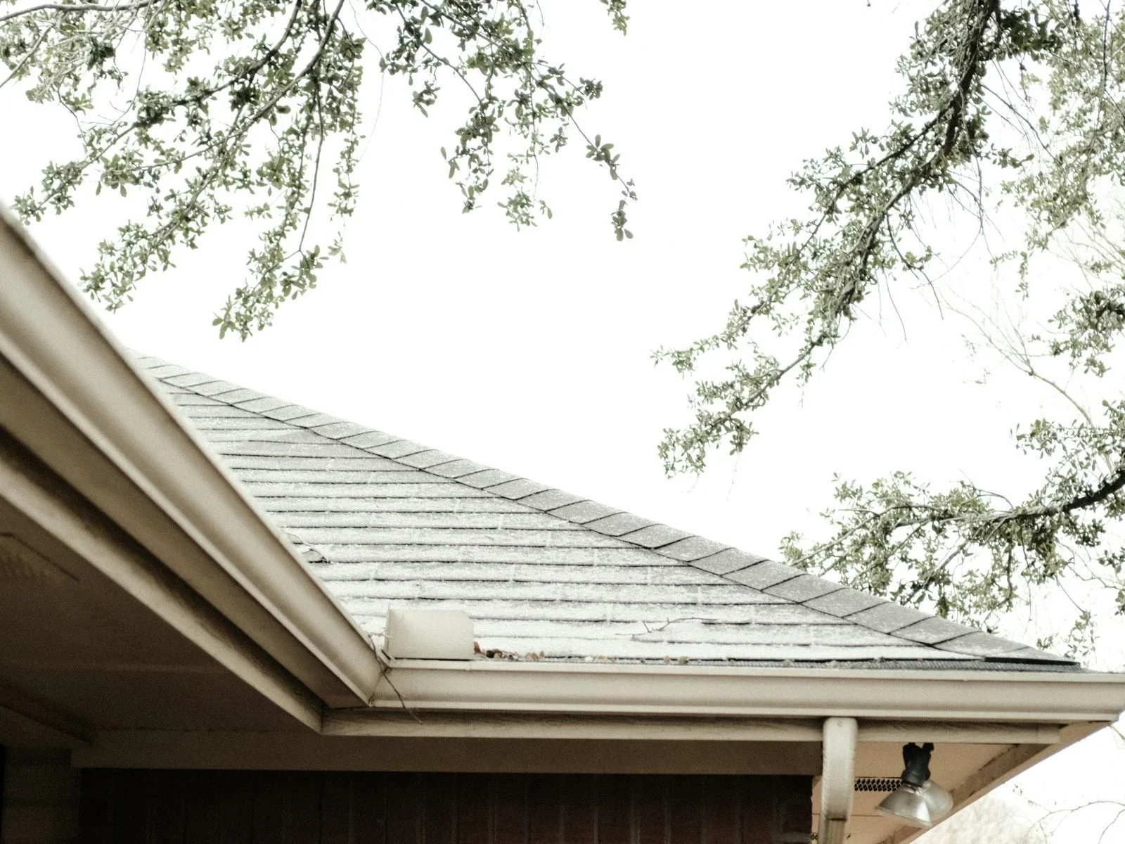 gutter-brick-house-tree-stock.jpg