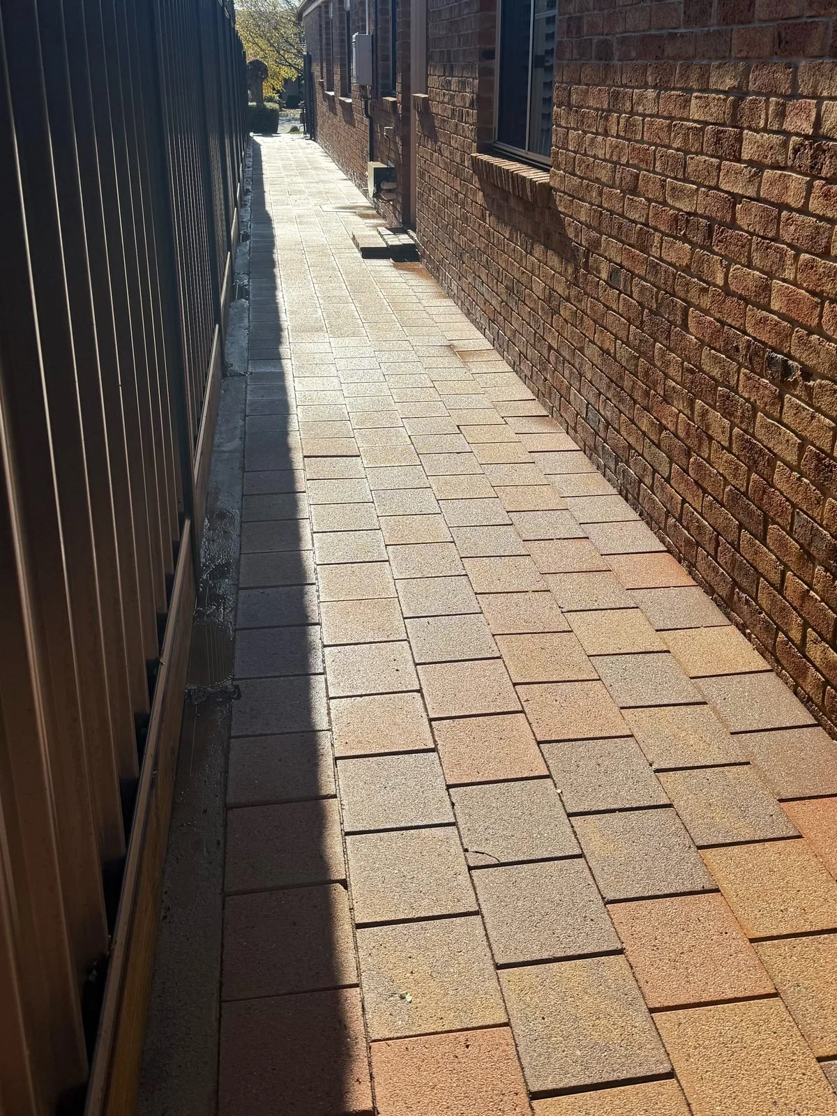 paver-cleaning-side-path-after-canberra.jpg