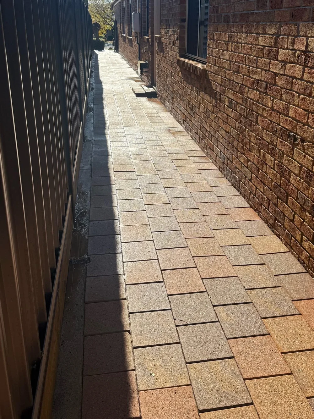 Same paver side path after cleaning, photographed from the other end (Canberra)