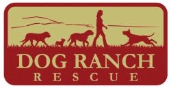 127-dog-ranch-rescue-inc-552683d31d44a.gif