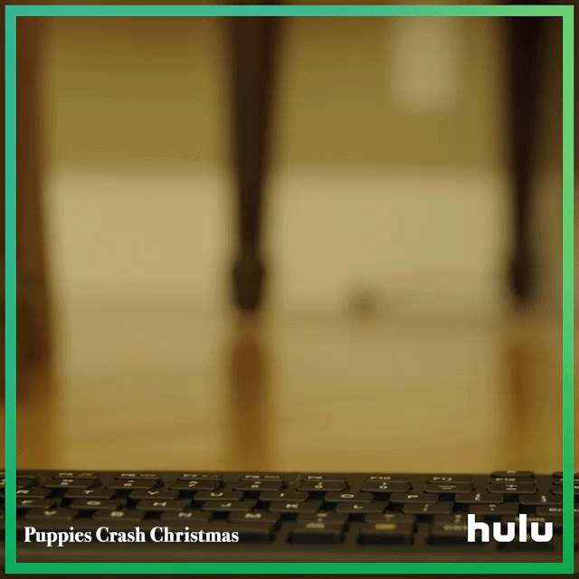 Hulu_Puppies_GIF_bernard_table_1x1_gfx_1.gif