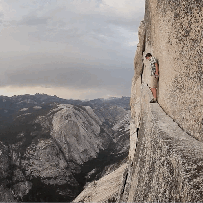 TNF_02.gif