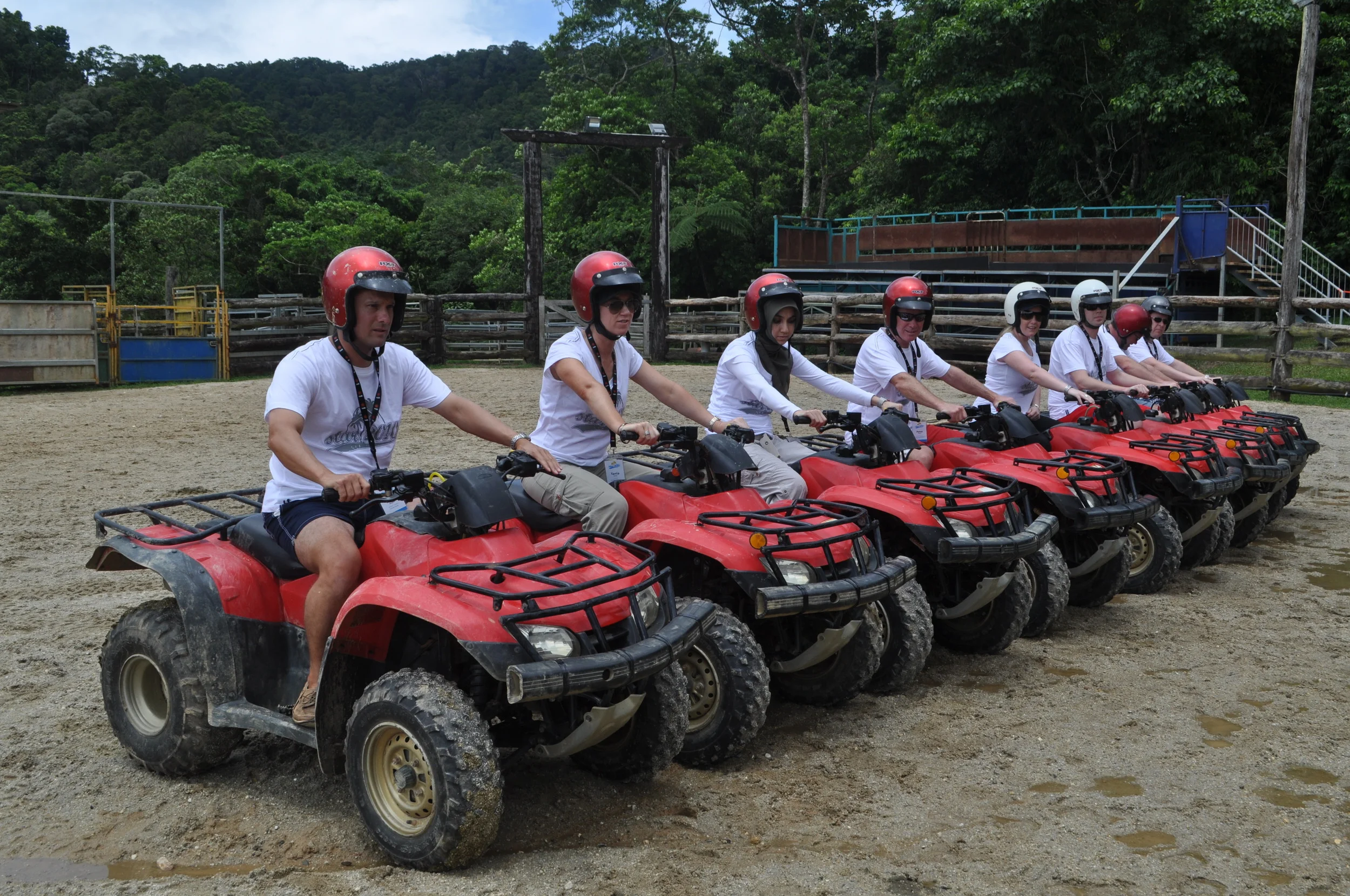 Optional Activity Day 