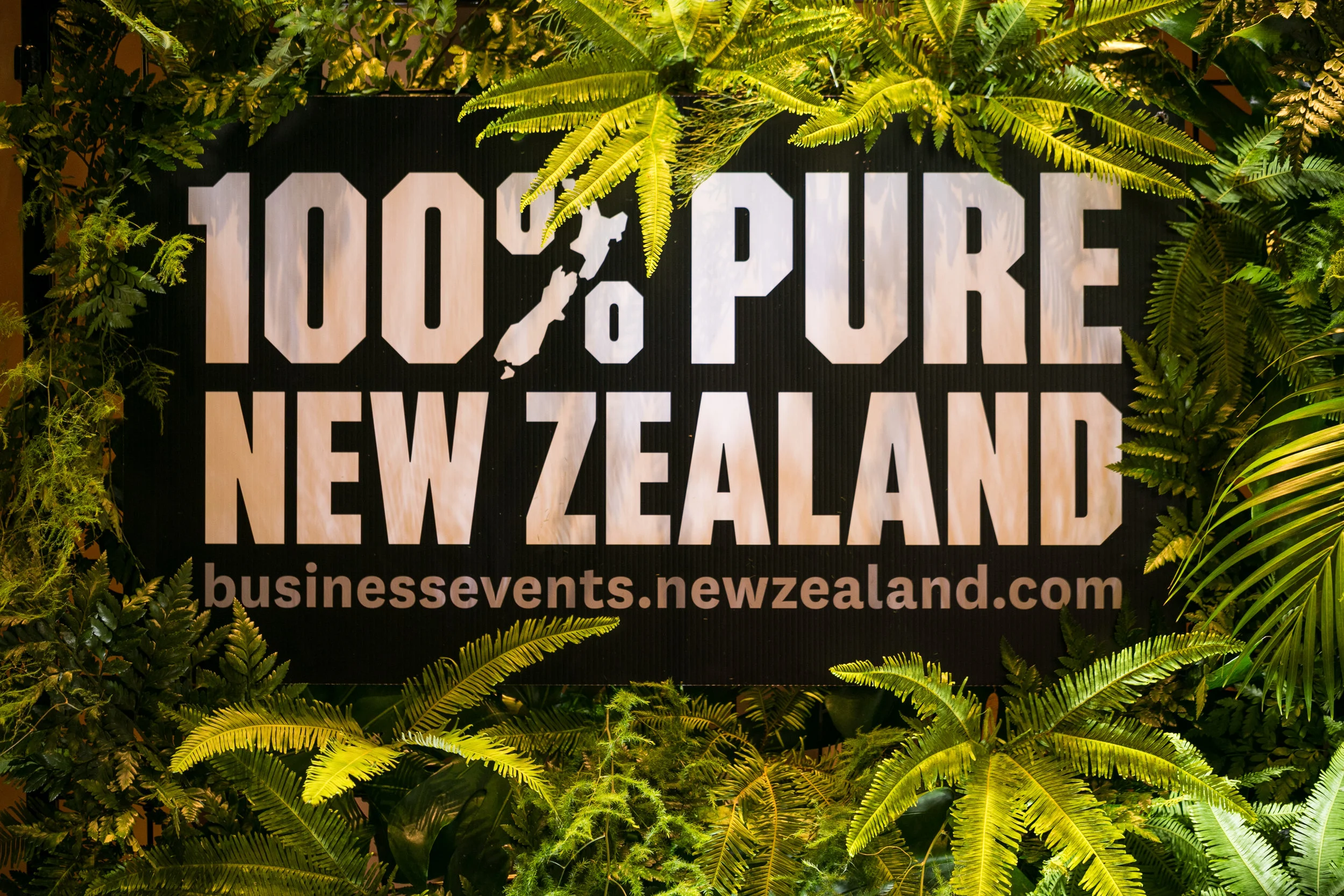 Green Fern Wall for Tourism New Zealand 