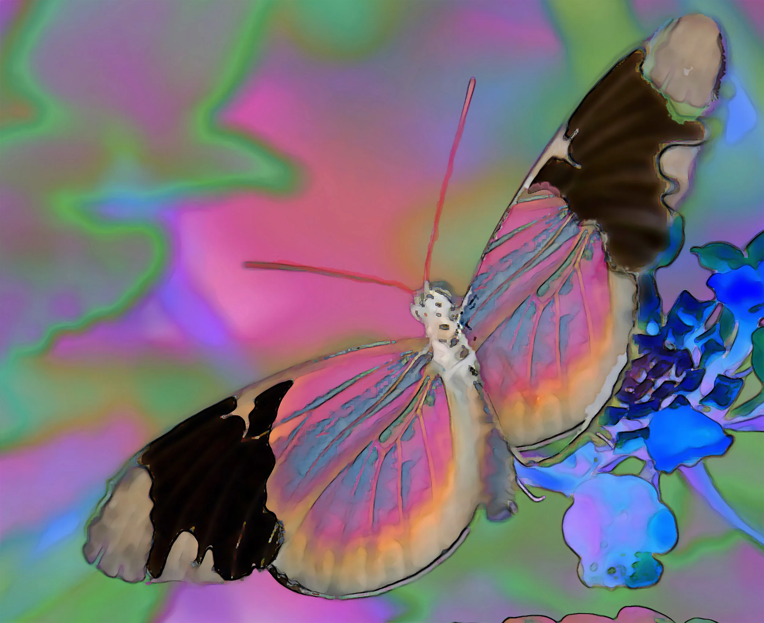 Blue and black butterfly.jpg