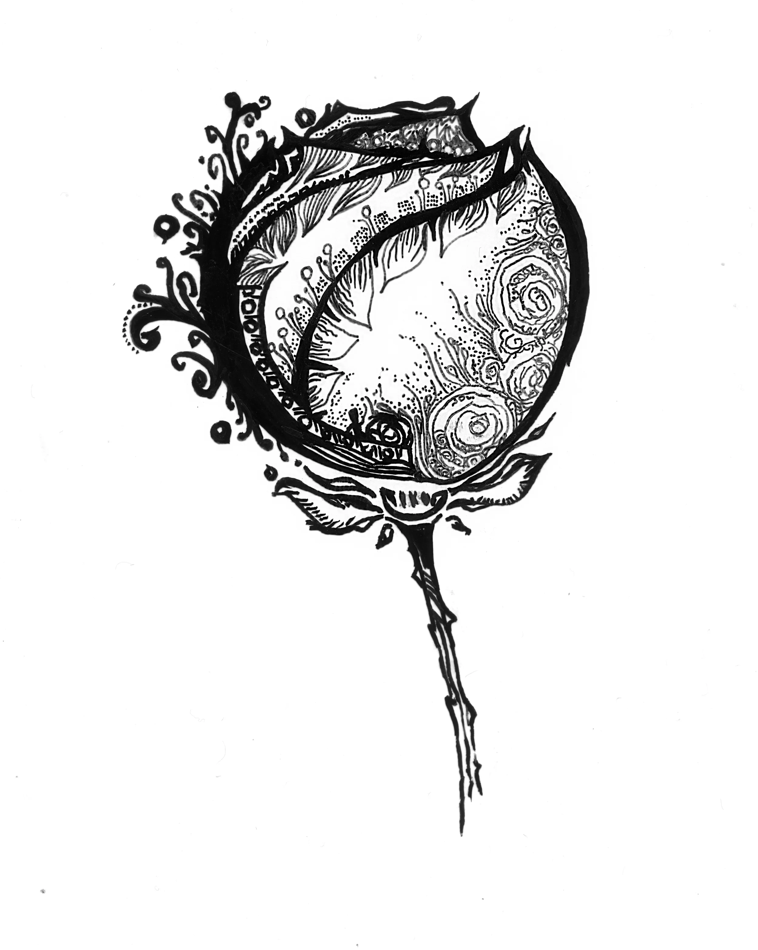 ira_art_1002-resized.jpg
