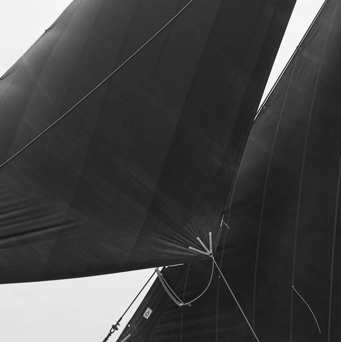 “Anyway The Wind Blows” Limited Edition of 3 105cmx105cm Exclusive to Taylor-Jones & Son