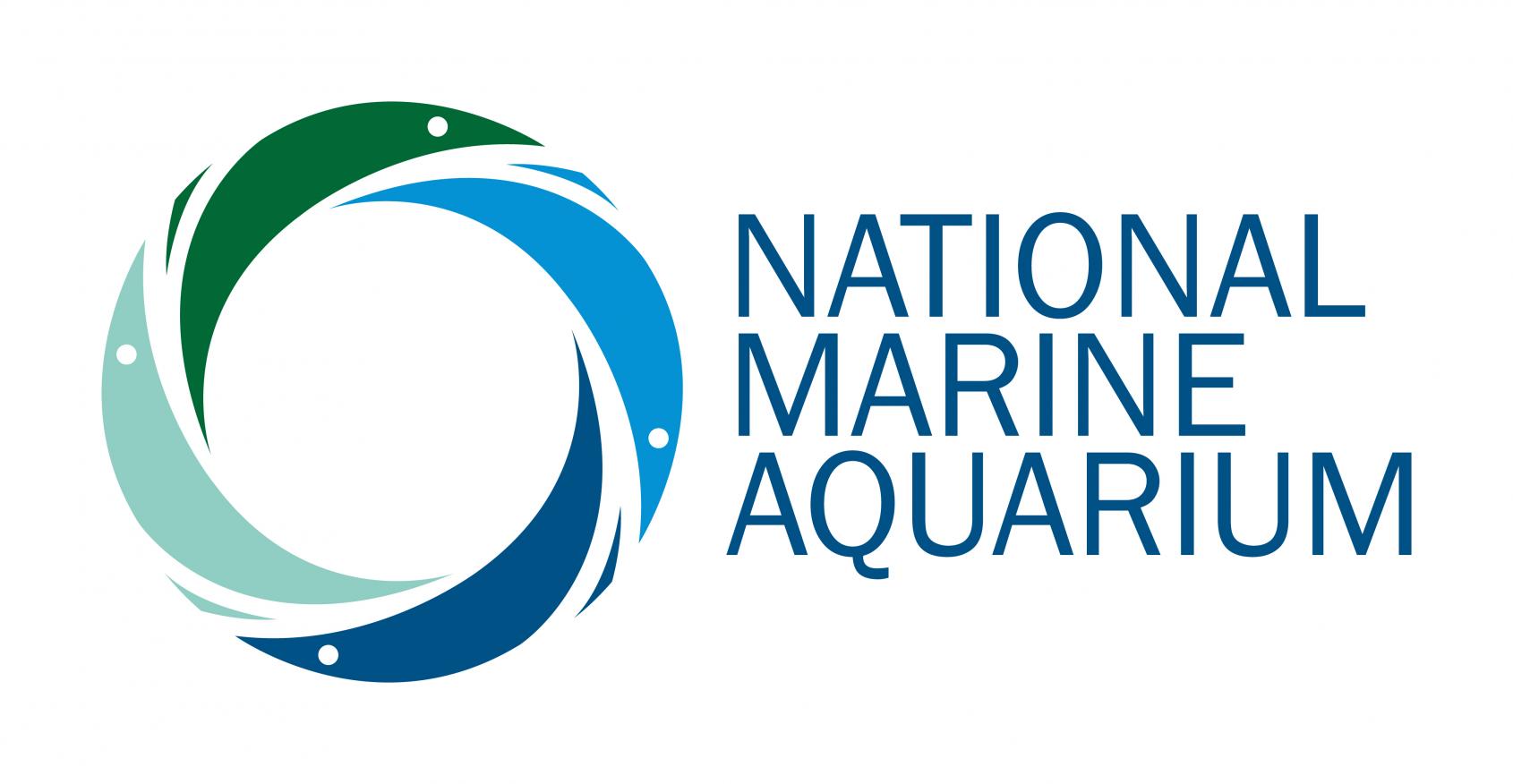 NMA logo.jpg