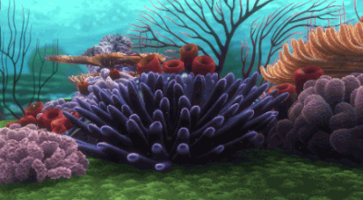 Blog: An Introduction to Coral Reefs — The Reef-World Foundation