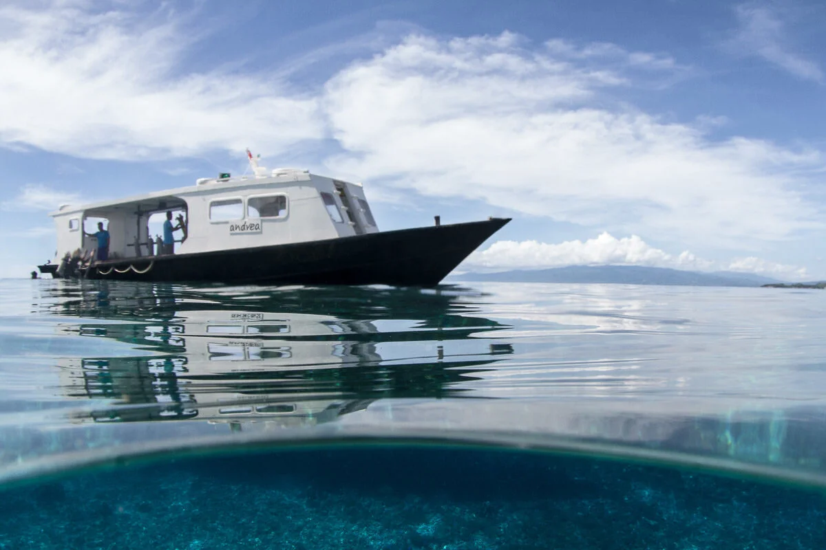 Diving in Lembeh Straight