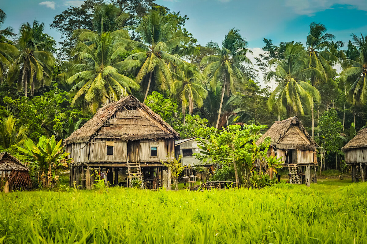 Papua New Guinea.jpeg