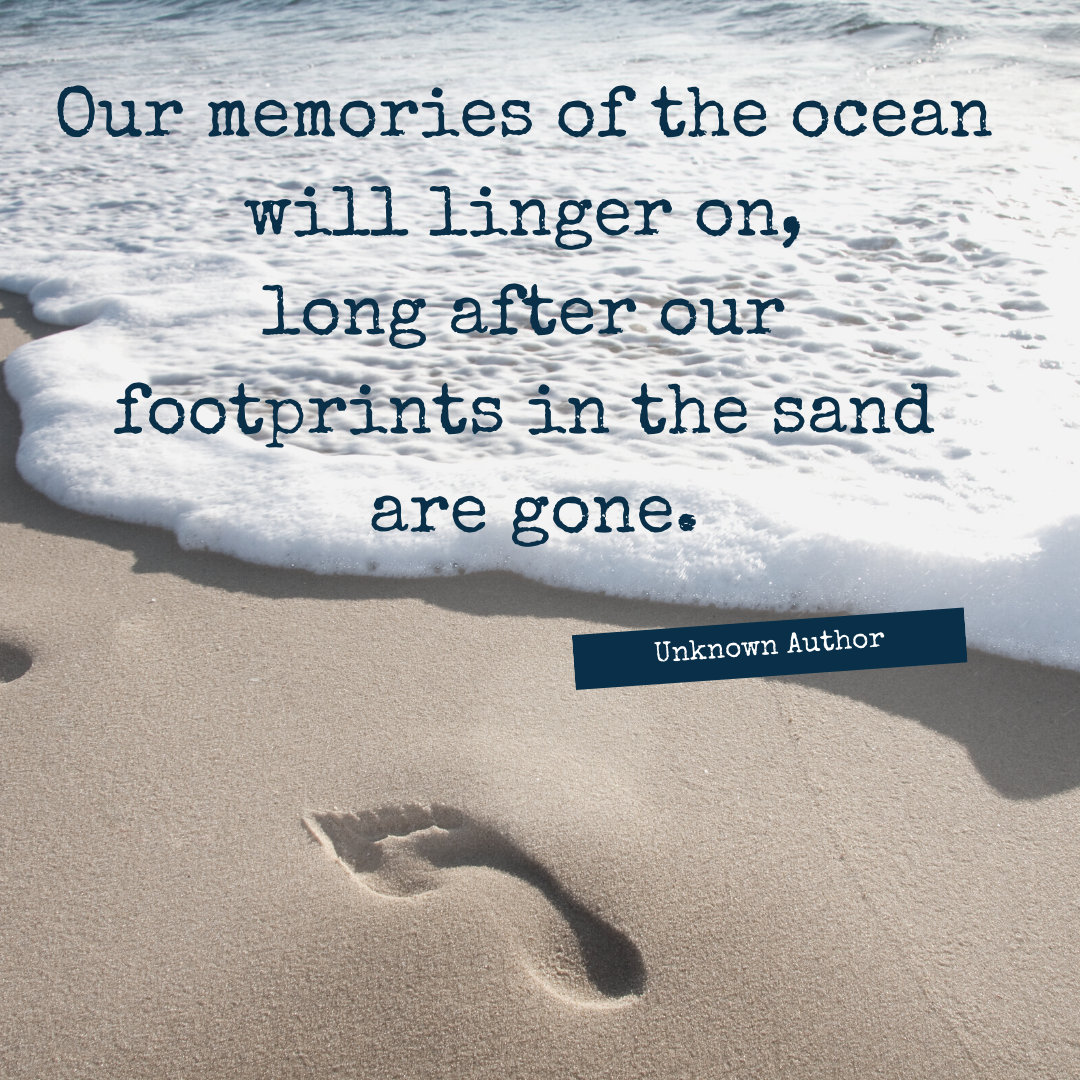 Blog Our Favourite Ocean Quotes — The ReefWorld Foundation