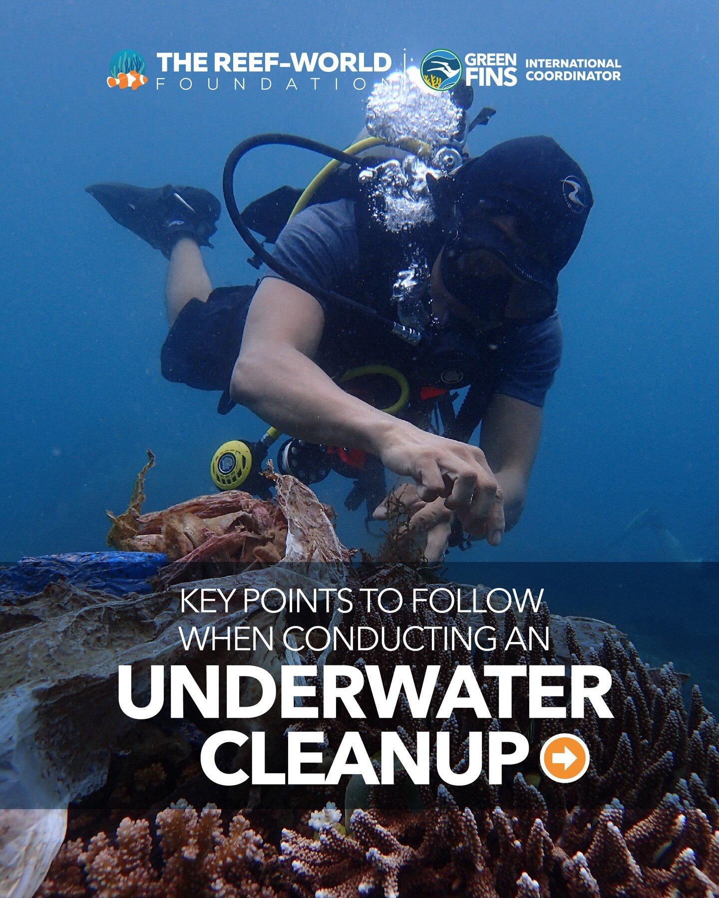 If the last post inspired you to join or organise a cleanup event, here are some key points to follow when conducting an underwater cleanup.

Do you join in underwater cleanups on your dive holidays?