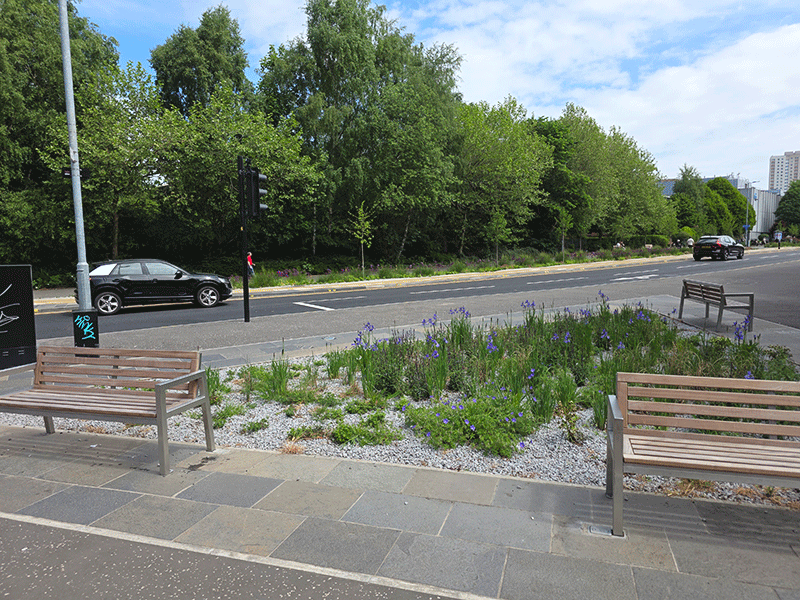 Glasgow+Avenue+Project+2.png