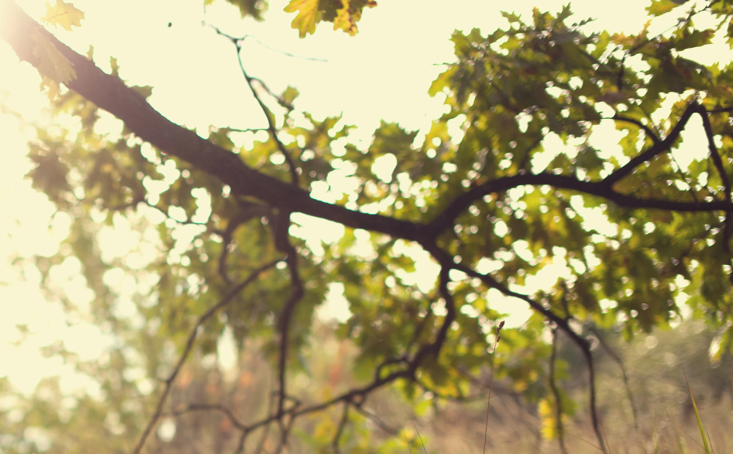 AdobeStock_91127422 (3).jpeg