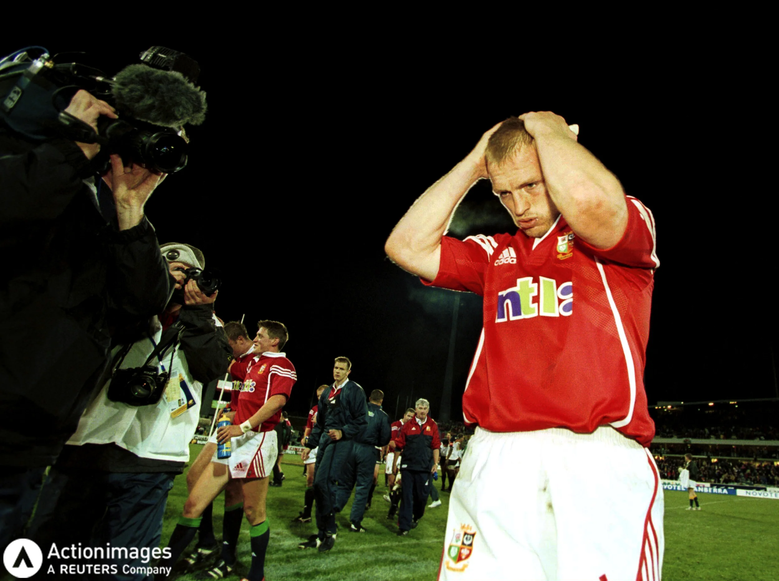 lions2.jpg