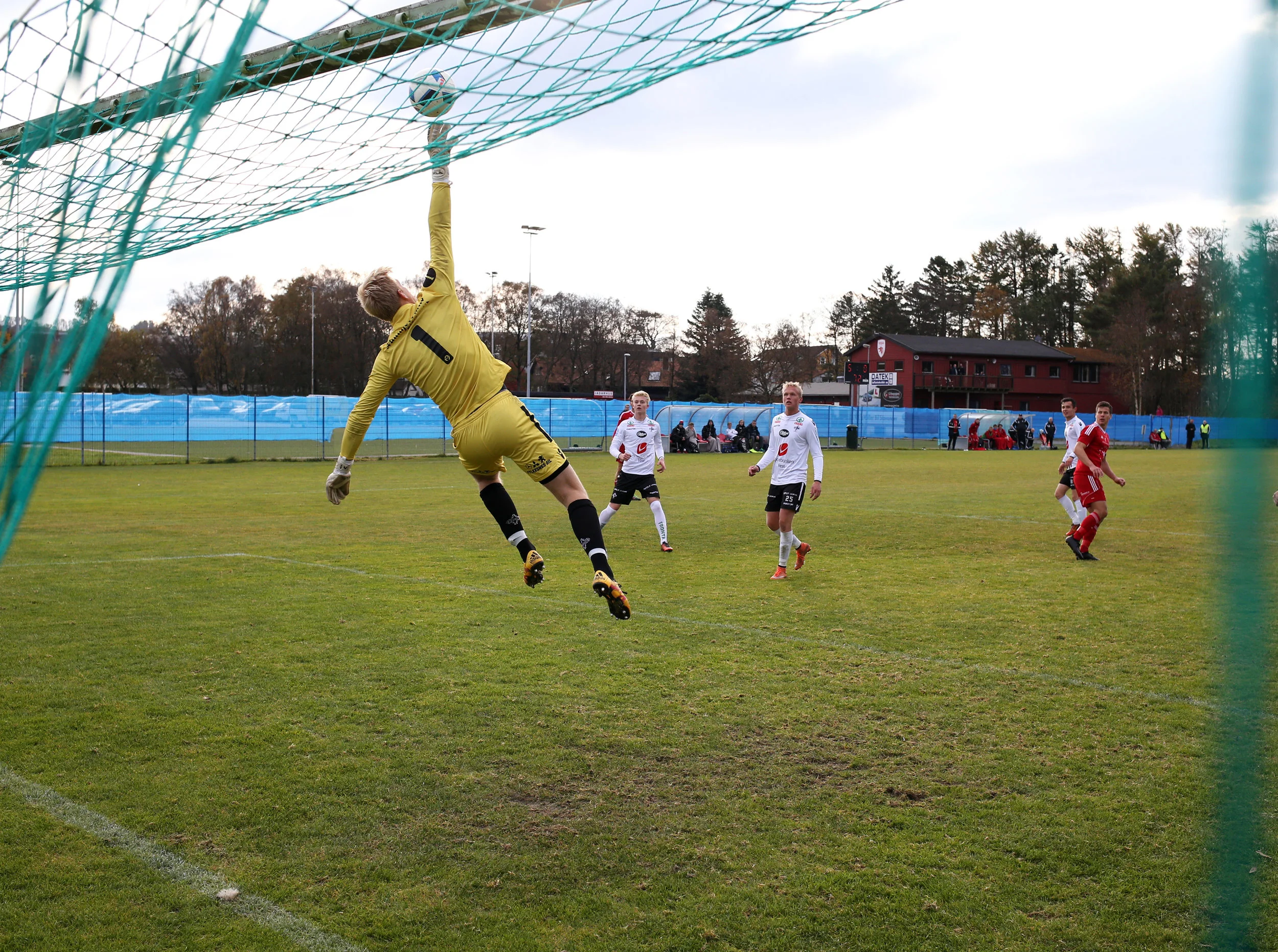 Vidar v Stord 2016-10-22
