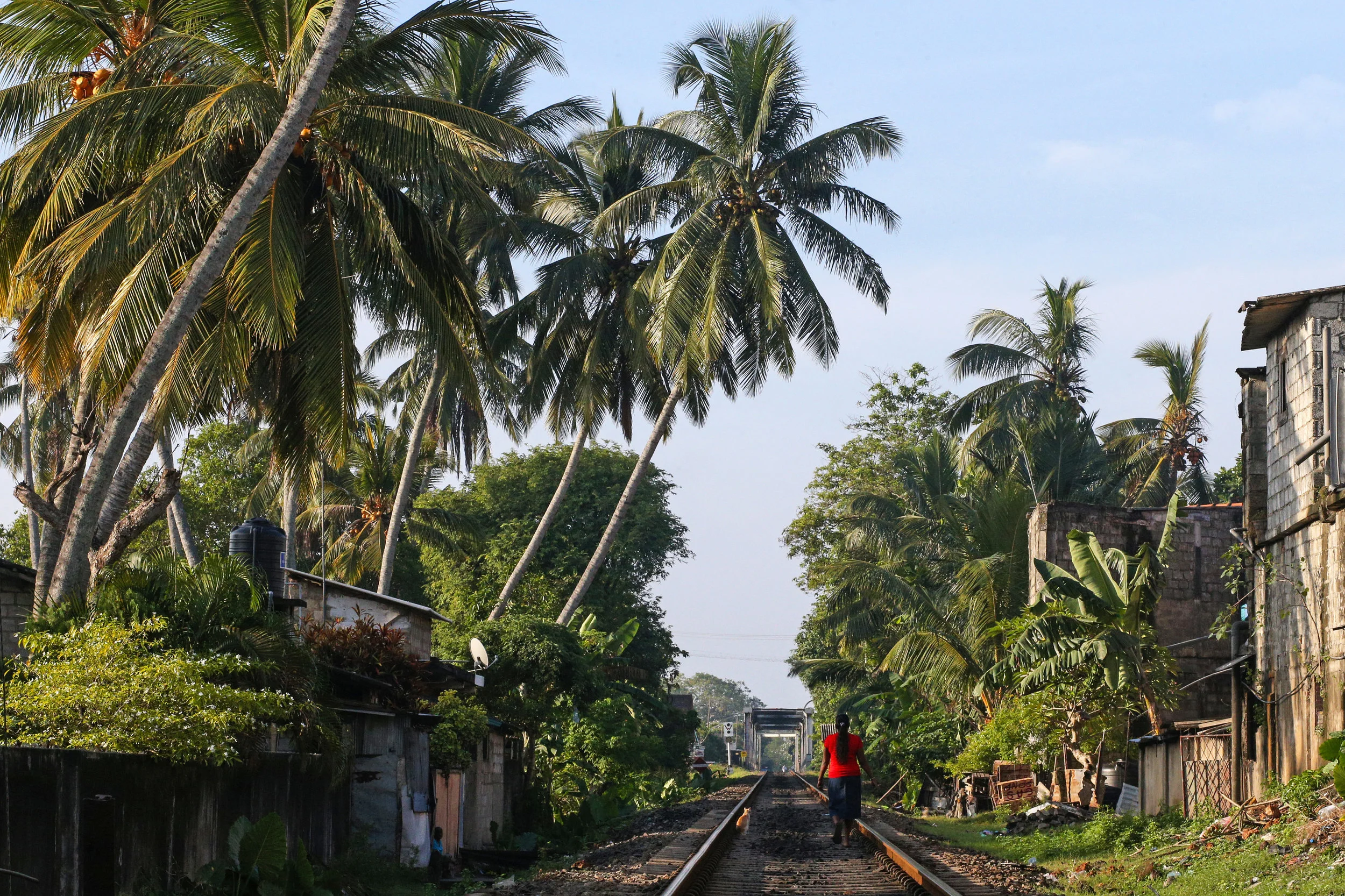 CC8Q2827-2.jpg