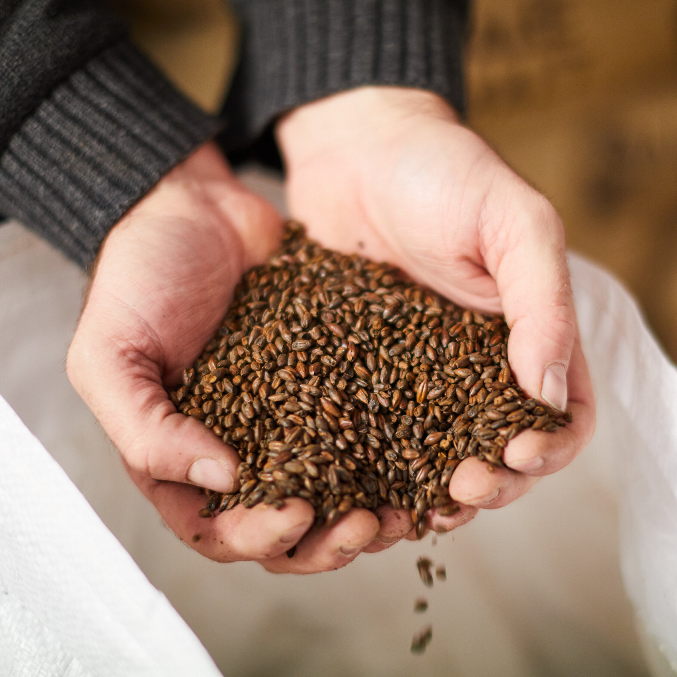1080X1080-GRAIN-TO-GLASS4.jpg