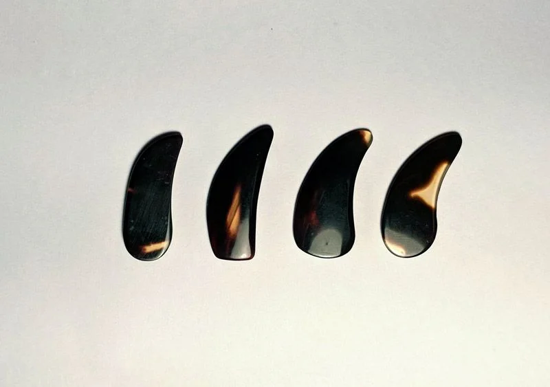 Four different thumb nail shapes. Not pictured: half moon type.