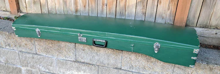 Green Guzheng Case.jpg
