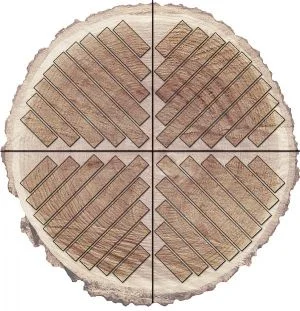 Quartersawn plank diagram from HardWoodDistributors.org Used under Fair Use Exemption of US Copyright law.