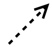 luan yin 1.png